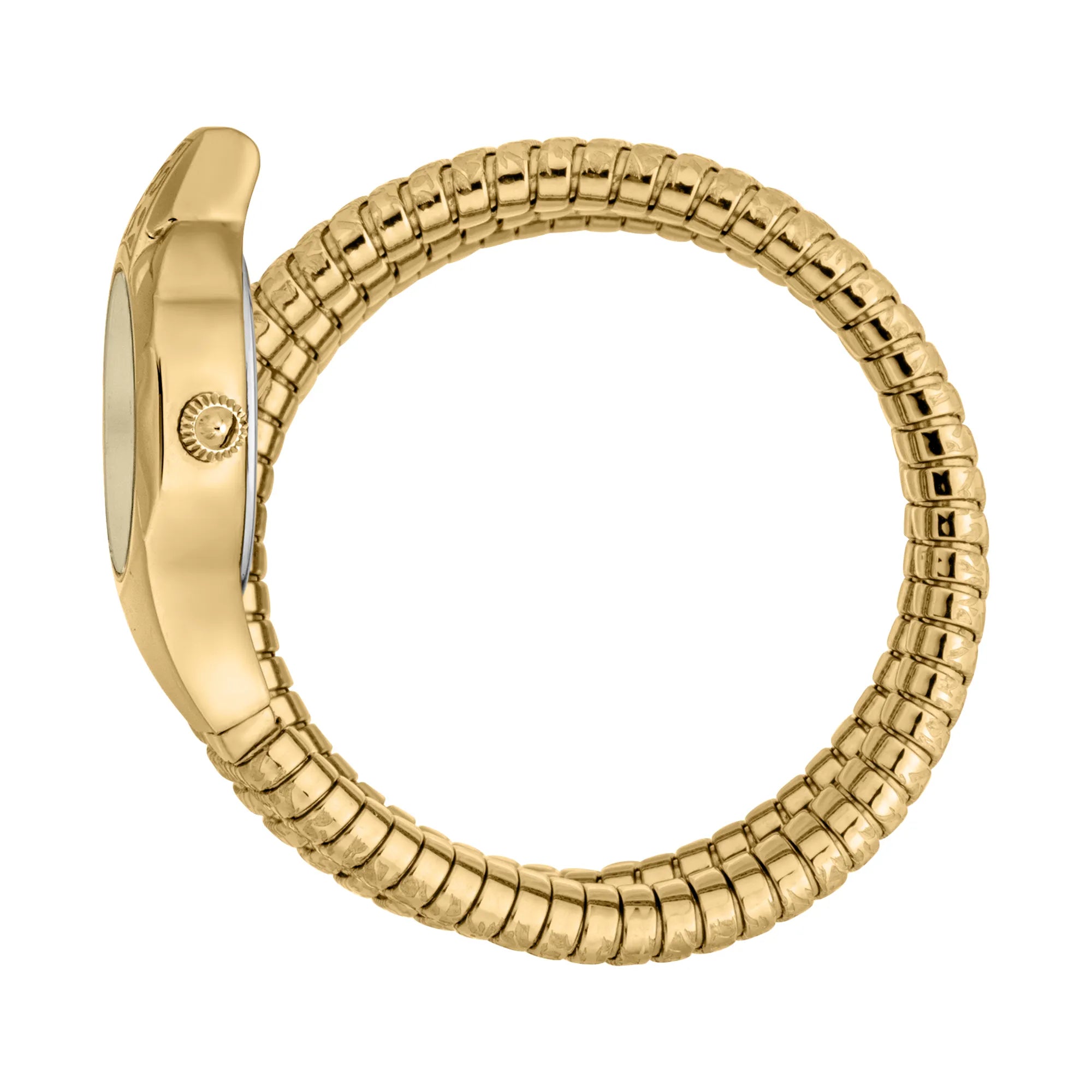 Just Cavalli Just Cavalli Signature Snake Ravenna Yellow Gold Champagne — immagine 3