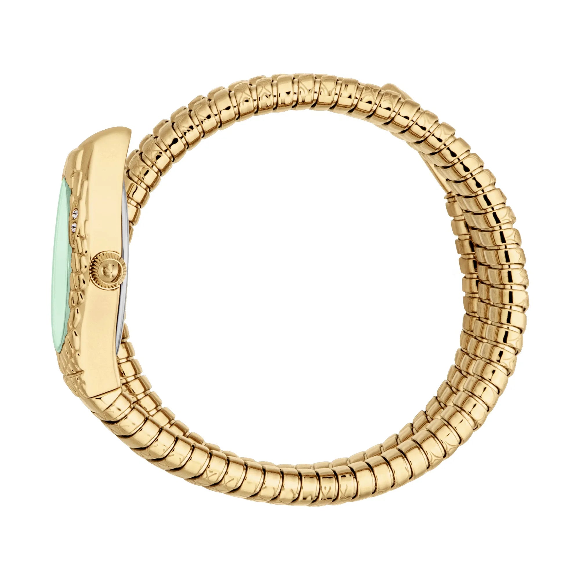 Just Cavalli Just Cavalli Signature Snake Aurela Yellow Gold Green — immagine 3